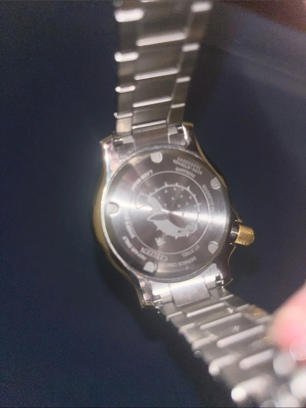 Citizen Two-Tone Gold and Blue Dive Watch